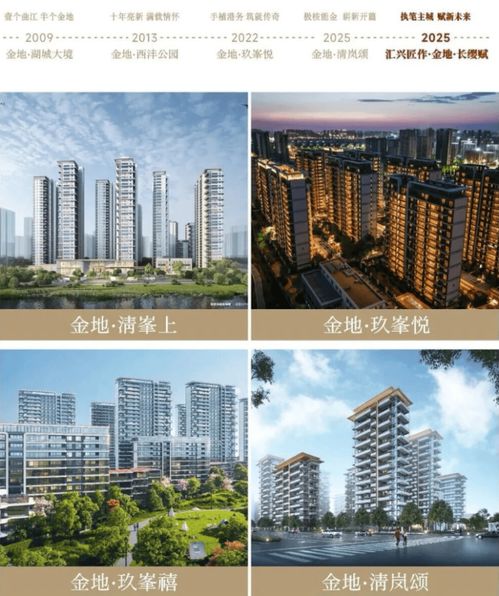 金地·長纓賦 一站式生活圈，改善人居的置業(yè)優(yōu)選